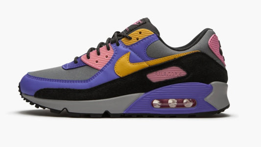 Air Max 90 Randonnée Violet Persan